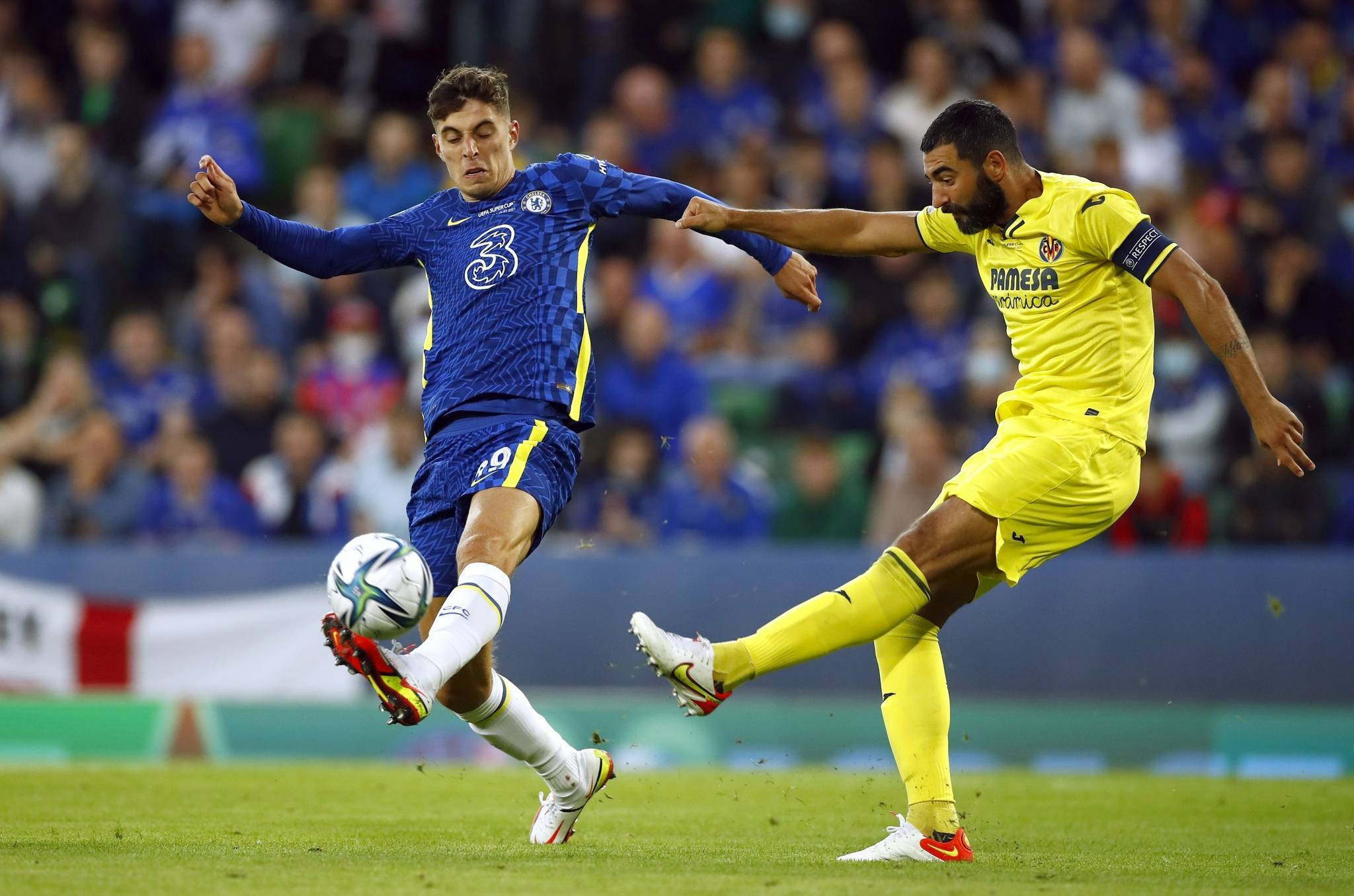 大的市场曝 大的市场曝